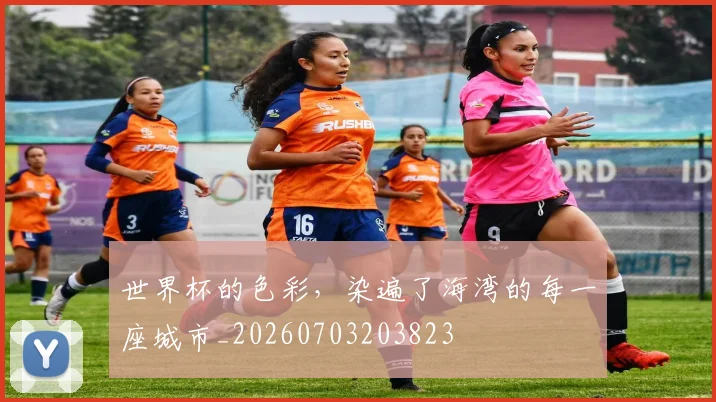 世界杯的色彩，染遍了海湾的每一座城市_20260703203823