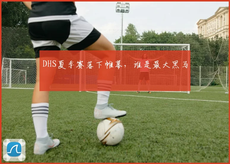 DHS夏季赛落下帷幕，谁是最大黑马