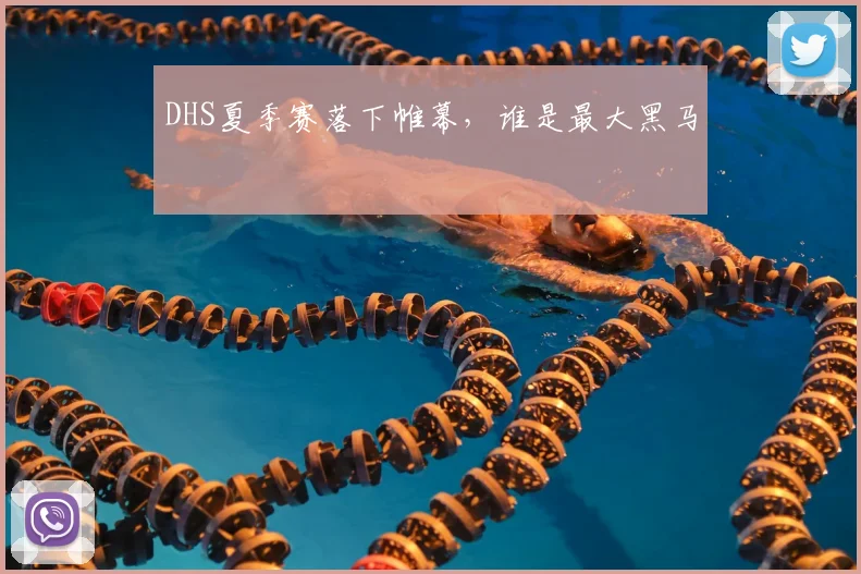 DHS夏季赛落下帷幕，谁是最大黑马